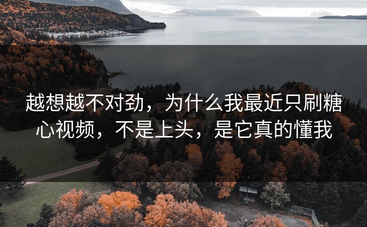 越想越不对劲，为什么我最近只刷糖心视频，不是上头，是它真的懂我