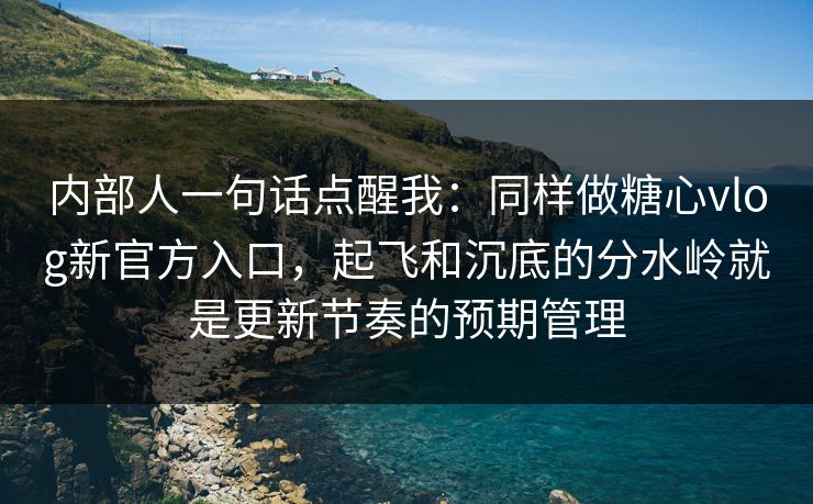内部人一句话点醒我：同样做糖心vlog新官方入口，起飞和沉底的分水岭就是更新节奏的预期管理