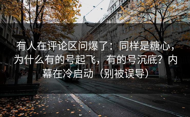 高级教练 - 林嘉敏