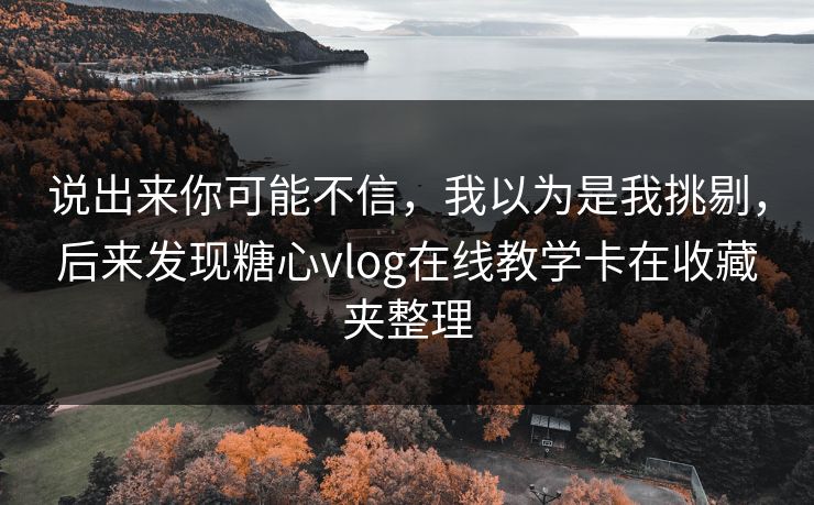 说出来你可能不信，我以为是我挑剔，后来发现糖心vlog在线教学卡在收藏夹整理