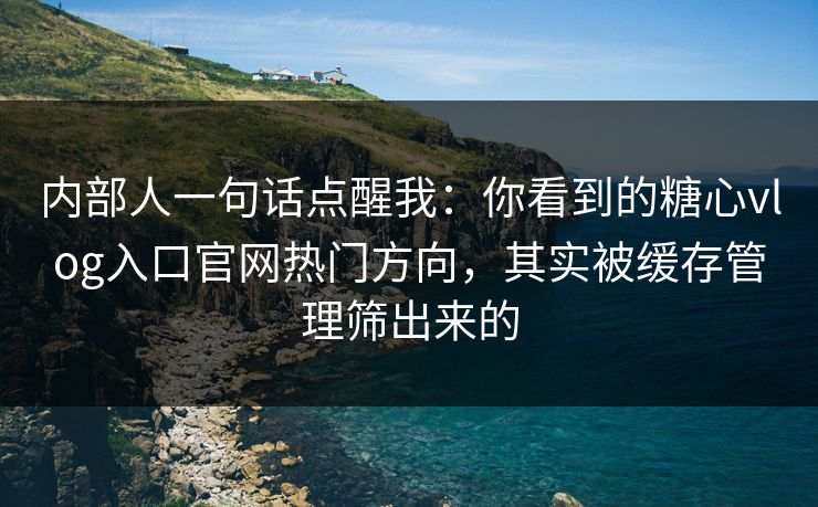 内部人一句话点醒我：你看到的糖心vlog入口官网热门方向，其实被缓存管理筛出来的