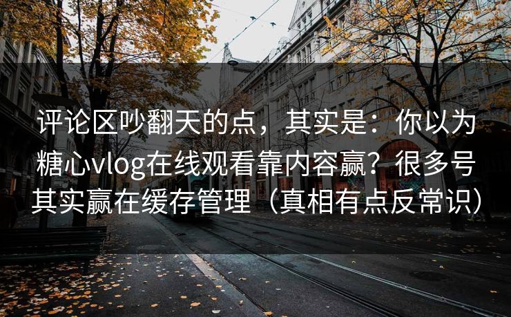 评论区吵翻天的点，其实是：你以为糖心vlog在线观看靠内容赢？很多号其实赢在缓存管理（真相有点反常识）