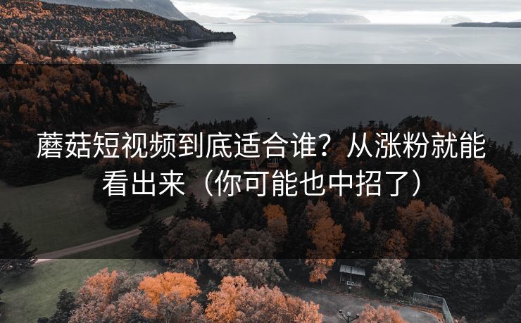 蘑菇短视频到底适合谁？从涨粉就能看出来（你可能也中招了）