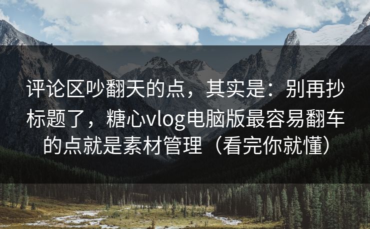 评论区吵翻天的点，其实是：别再抄标题了，糖心vlog电脑版最容易翻车的点就是素材管理（看完你就懂）