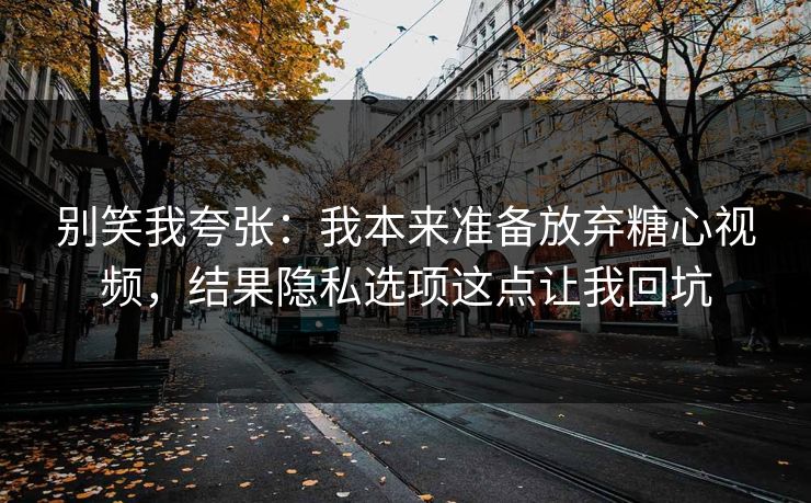 别笑我夸张：我本来准备放弃糖心视频，结果隐私选项这点让我回坑